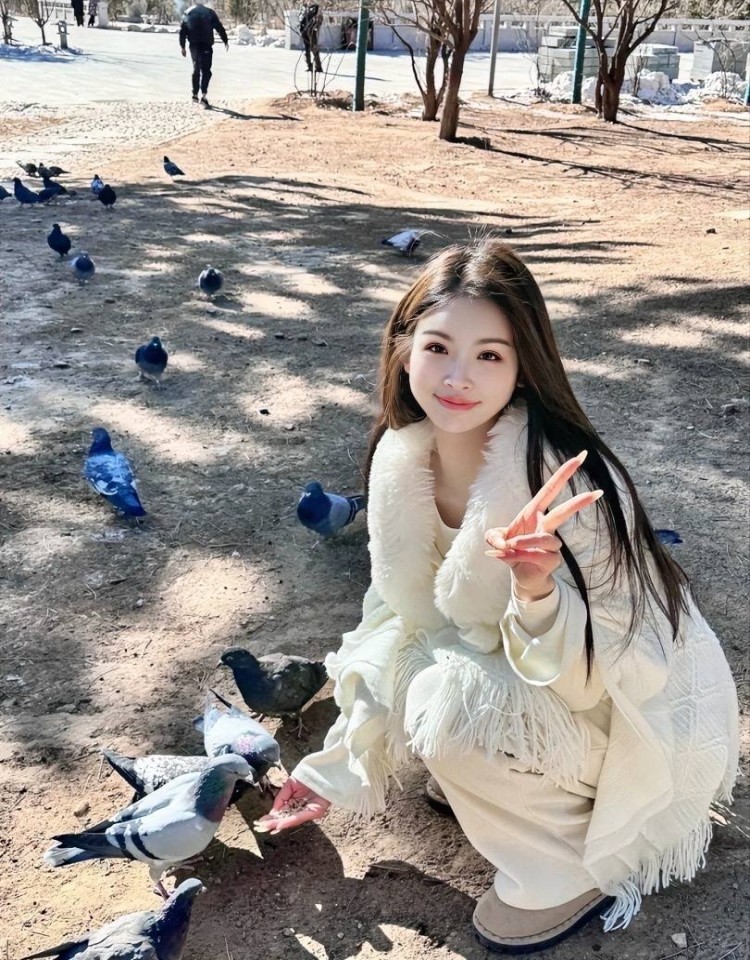 大地资源中文在线观看免费版高清,免费高清电影在线观看